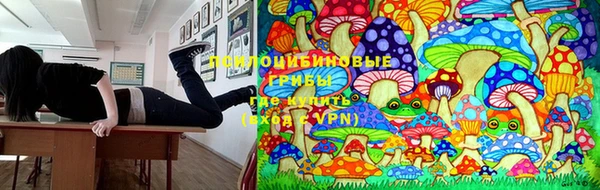 бутик Тайга