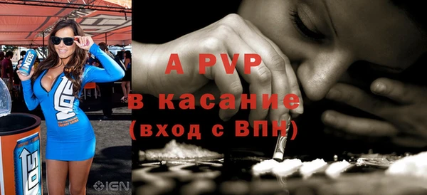 apvp Бородино