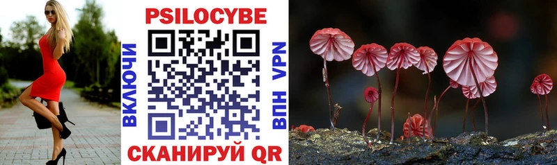 Псилоцибиновые грибы Psilocybe  мега рабочий сайт  Новокузнецк 