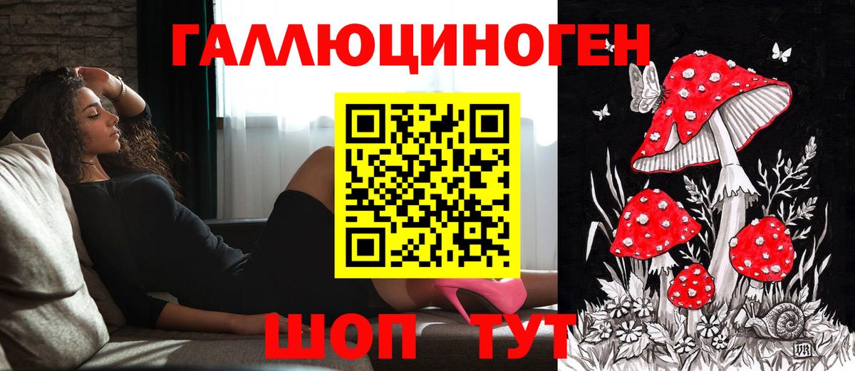 Галлюциногенные грибы мухоморы Новокузнецк