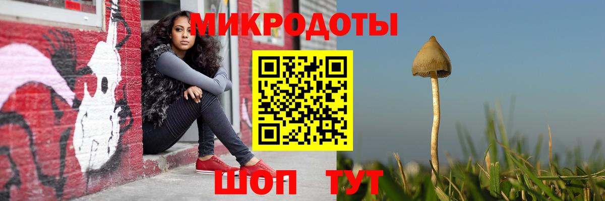 купить наркоту  Псилоцибиновые грибы Cubensis  Вход с VPN  Псилоцибиновые грибы прущие грибы  Новокузнецк 