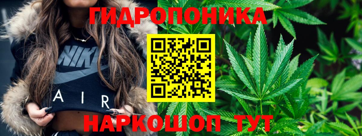 Канабис LSD WEED  Новокузнецк  Конопля семена  Бошки марихуана семена 